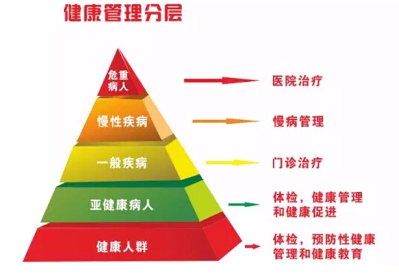 成都市营养学会：引领健康生活新风尚